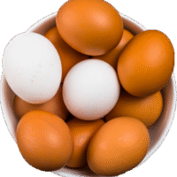 BOILED EGG
