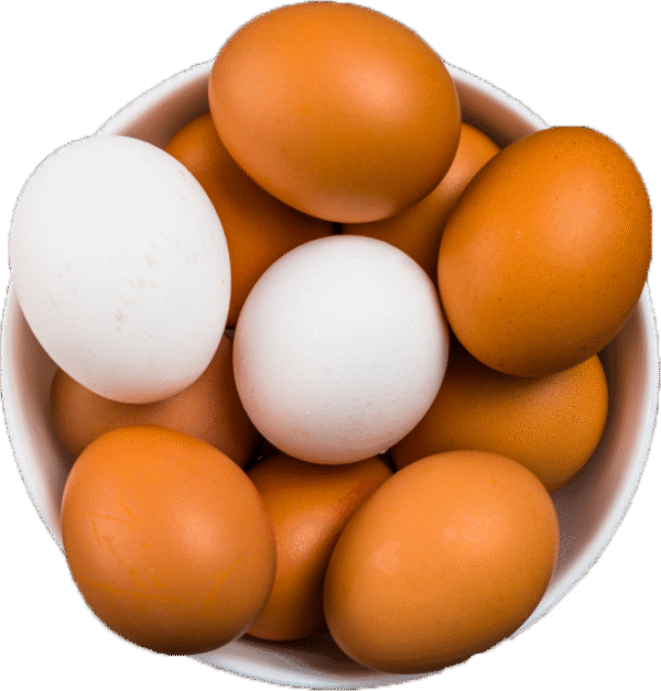 BOILED EGG