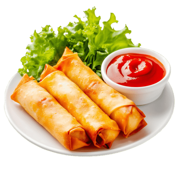 VEGETABLE SPRING ROLLS (6 PCS)